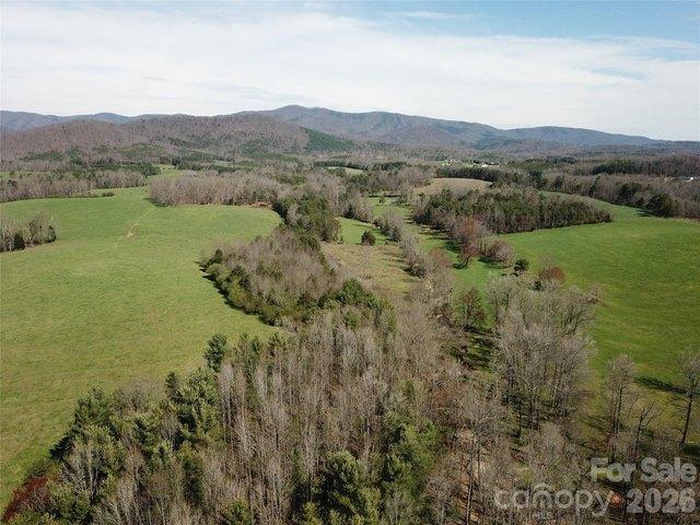 Land for sale in Casar, North Carolina