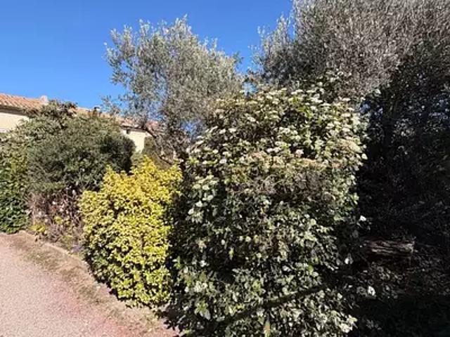 Maison vente à Avignon, Morières-lès-avignon
