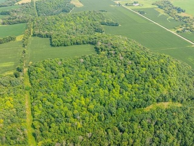 Land for sale in Arkansaw, Wisconsin