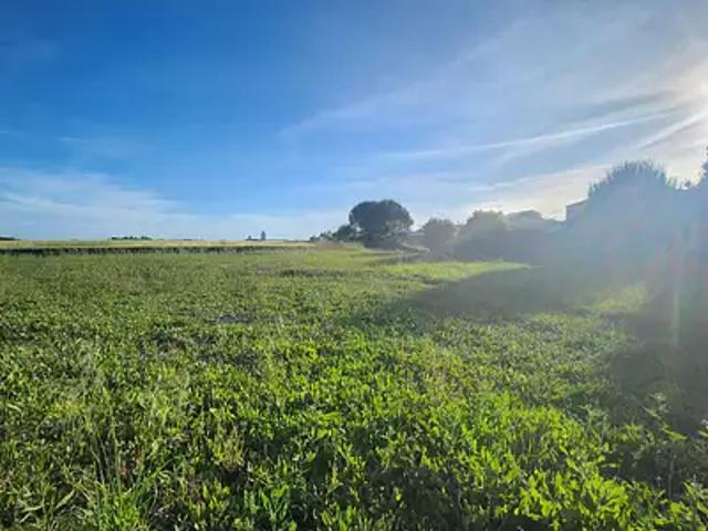 Terrain vente à Rochefort, Mornac-sur-seudre