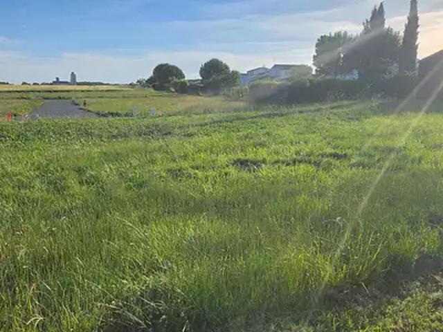 Terrain vente à Rochefort, Mornac-sur-seudre