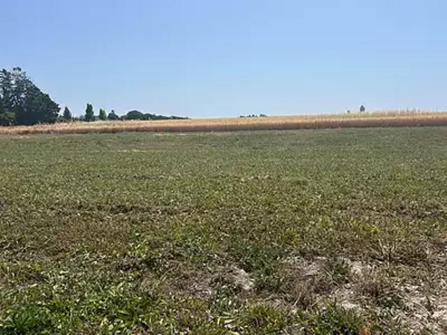 Terrain vente à Rochefort, Mornac-sur-seudre