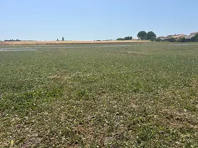Terrain vente à Rochefort, Mornac-sur-seudre