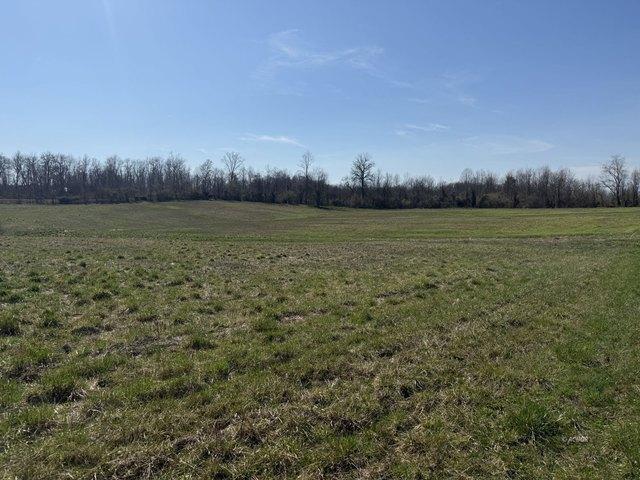 Land for sale in Racine, Ohio