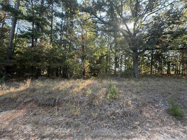 Land for sale in Avinger, Cass County
