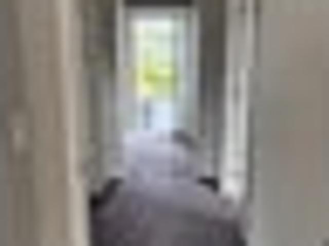 House for rent in Otakou