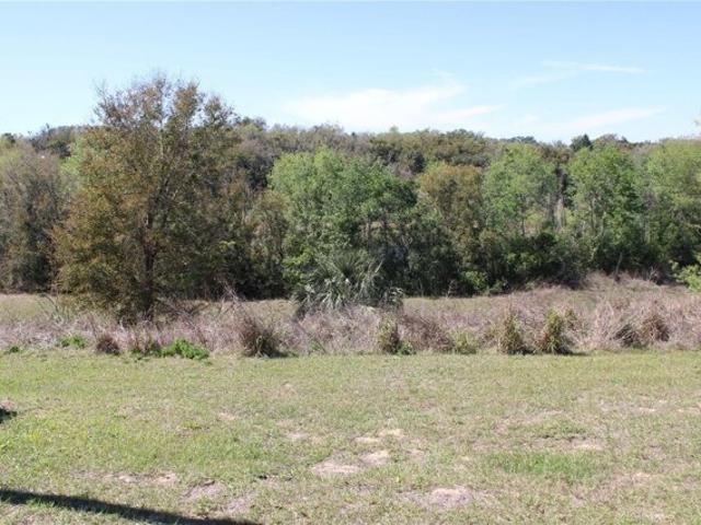 Land for sale in Eustis Land for sale in Eustis