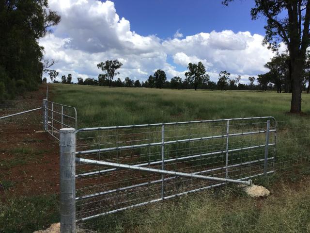 Property for sale in Gilgai, New South Wales
