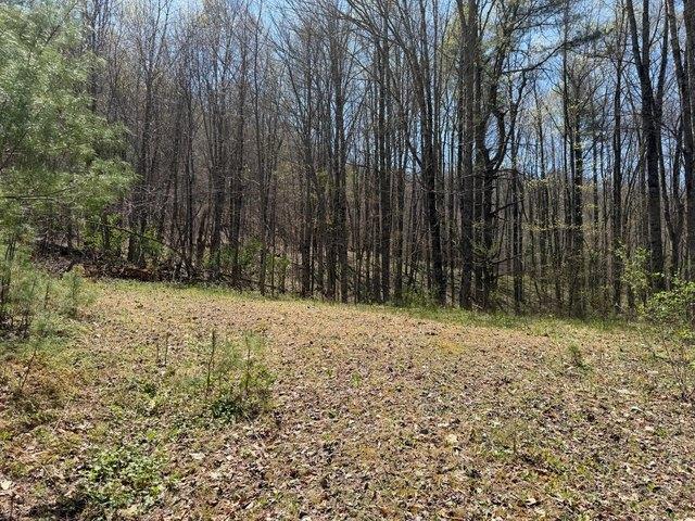 Land for sale in Meadow Bridge, West Virginia