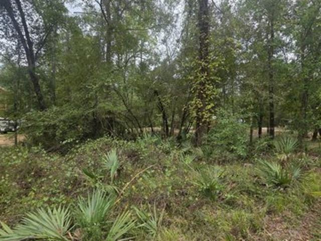 Land for sale in Baxley, Georgia