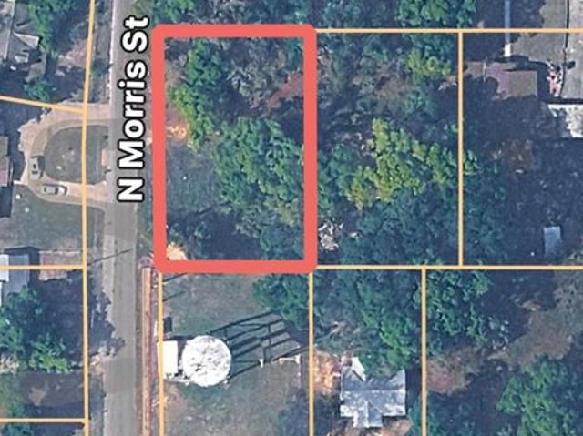 Land for sale in Geneva, Alabama