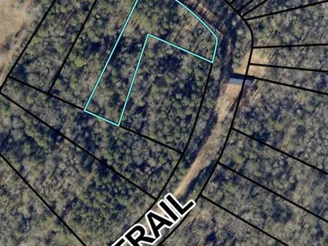 Land for sale in Carnesville, Georgia