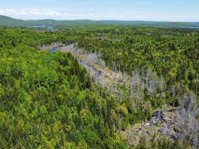 Land for sale in Oakfield, Maine