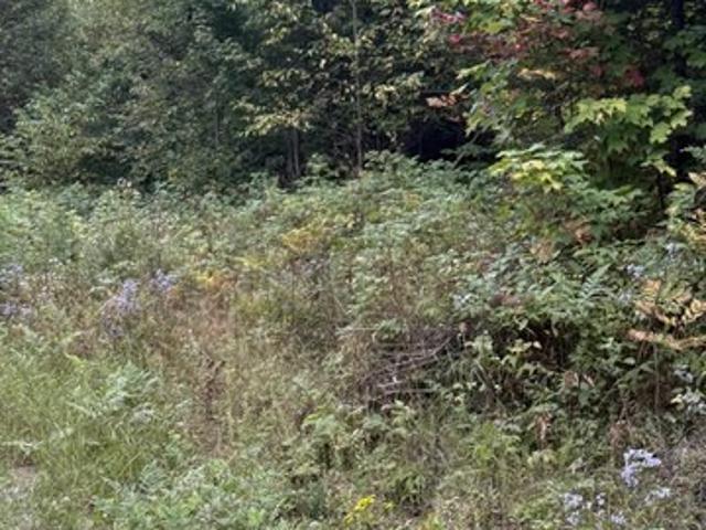 Land for sale in Iron River, Michigan