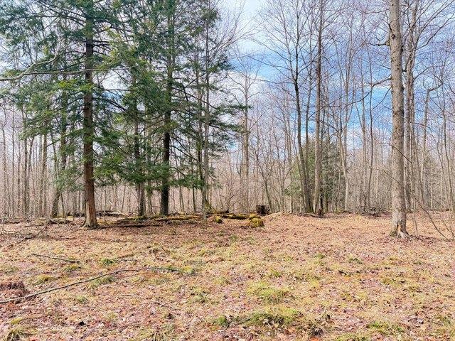Land for sale in Warren, Pennsylvania