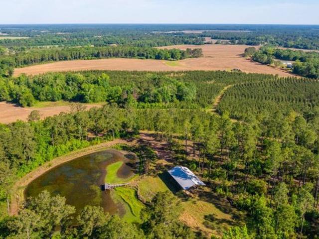 Land for sale in Grady, Georgia