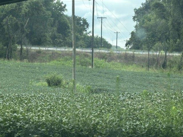 Farm for sale in Fulton, Kentucky