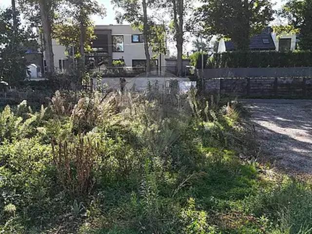 Terrain vente à Morschwiller-le-Bas, Collectivité européenne d'Alsace