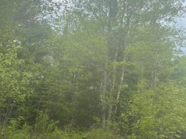 Land for sale in Steuben, Maine