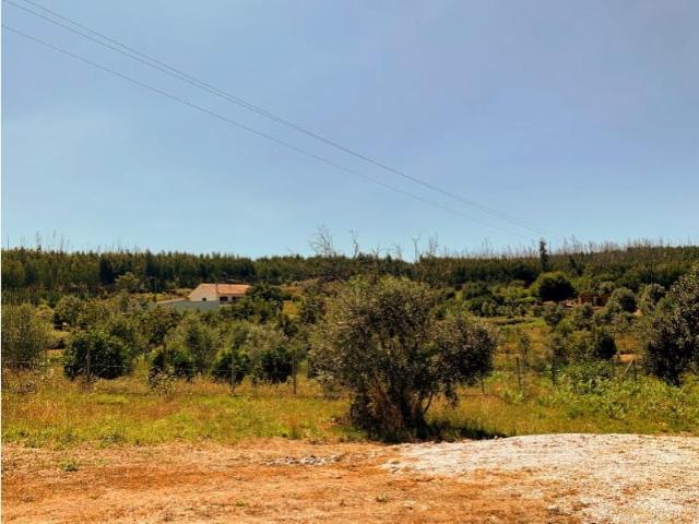 Terreno venda em Mortágua, Viseu