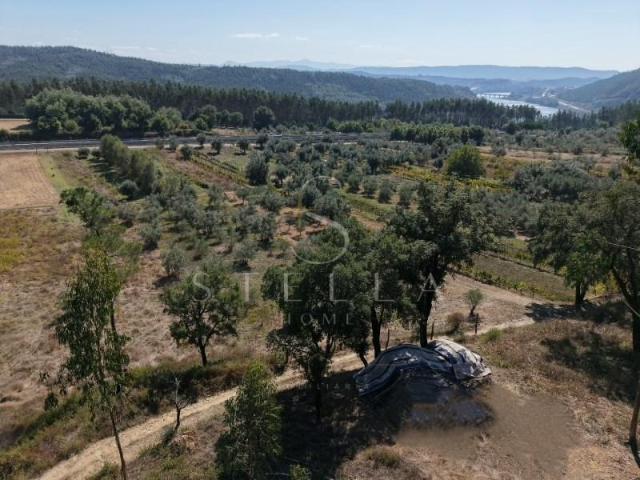 Terreno venda em Mortágua, Viseu