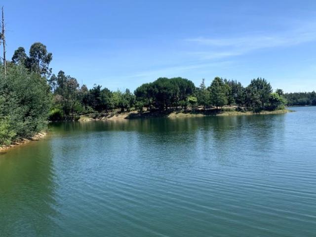Terreno venda em Mortágua, Viseu