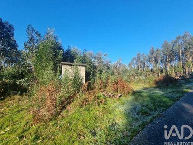 Terreno venda em Mortágua, Viseu
