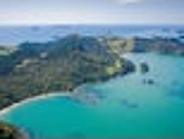 Land for sale in Waikato