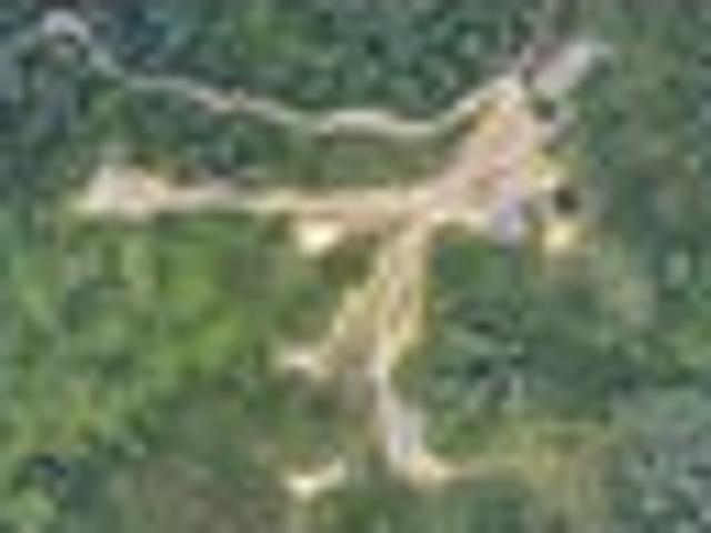 Land for sale in Tapu, Waikato