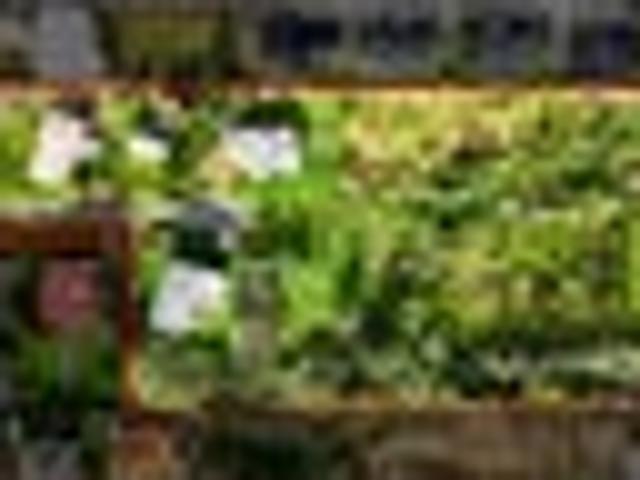 House for sale in Massey