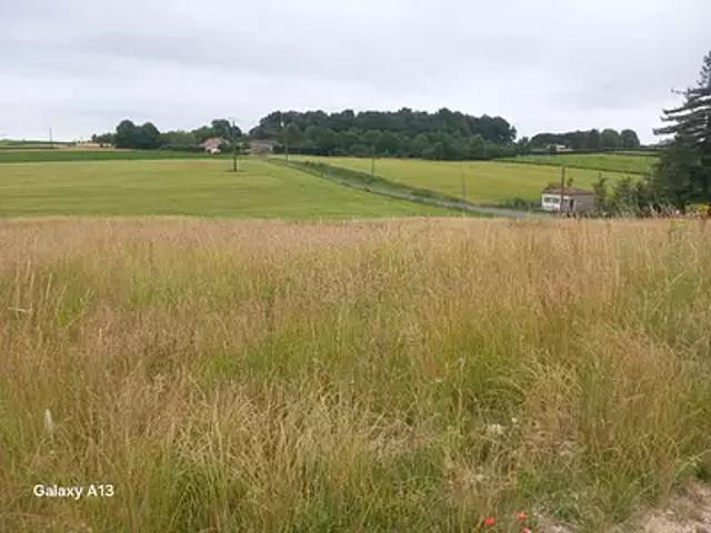 Terrain vente à Jonzac, Mortiers