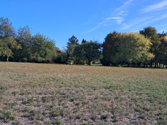 Terrain vente à Jonzac, Mortiers