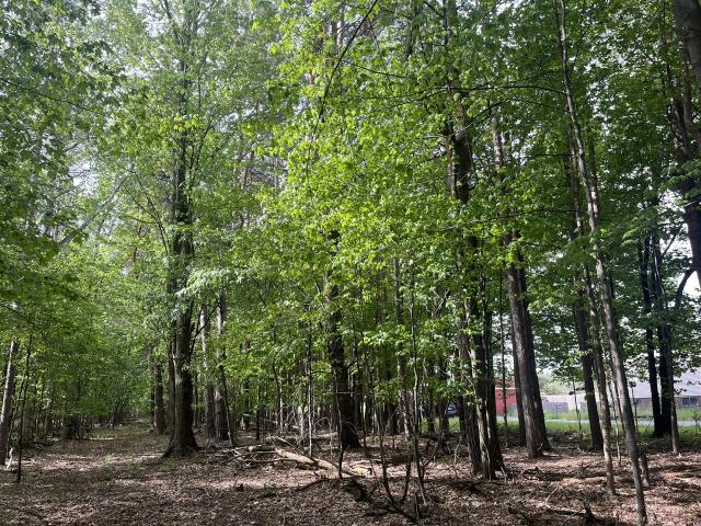 Land for sale in Croswell