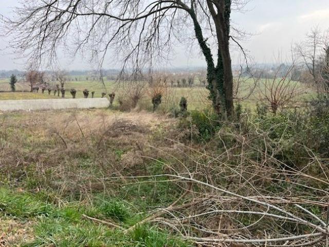 Terreno in vendita a Moruzzo, Friuli-Venezia Giulia