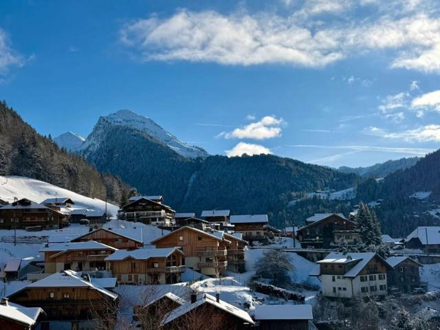 Maison vente à Thonon-les-Bains, Morzine