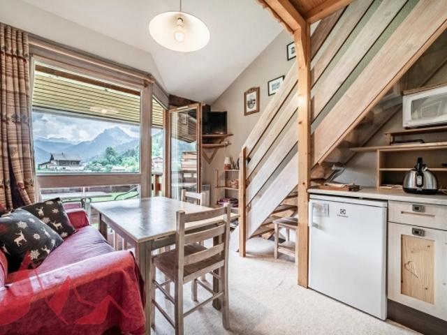 Appartement vente à Thonon-les-Bains, Morzine
