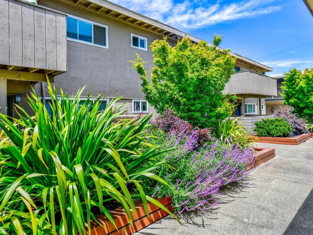 Apartment for rent in California