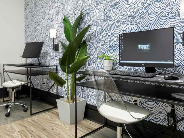Apartment for rent in Tampa, Florida