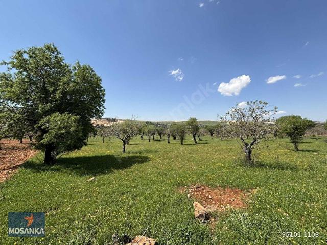 Şahinbey, Gaziantep içerisinde satılık Arsa