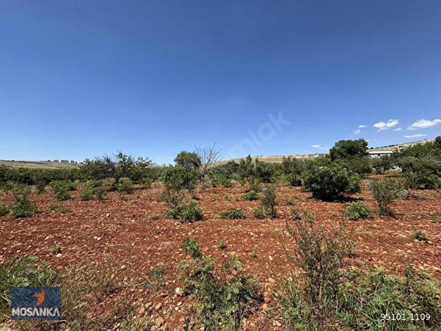Şahinbey, Gaziantep içerisinde satılık Arsa