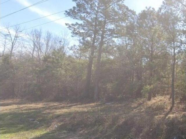 Land for sale in Manning, Clarendon County