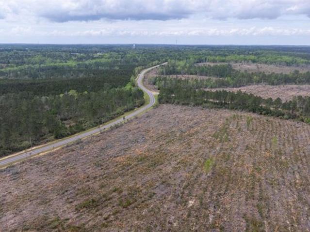Land for sale in Stapleton, Alabama
