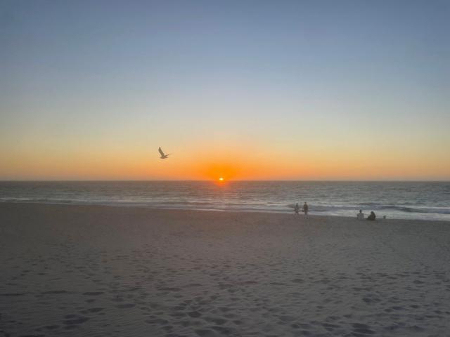 Room for rent in Mosman Park, Western Australia