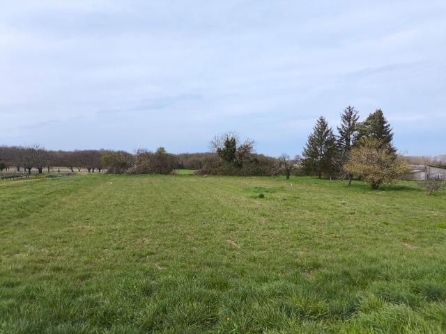 Terrain vente à France métropolitaine, Mosnac