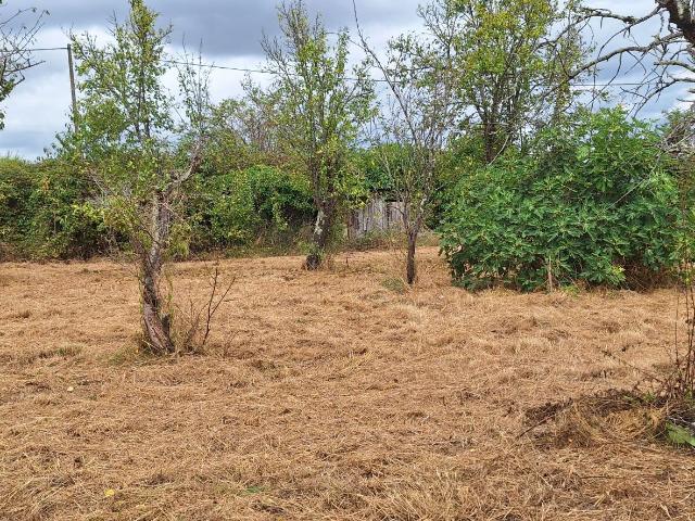 Terrain vente à Châteauroux, Mosnay