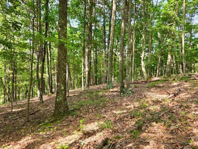Land for sale in Mile Run, Lower Augusta Township
