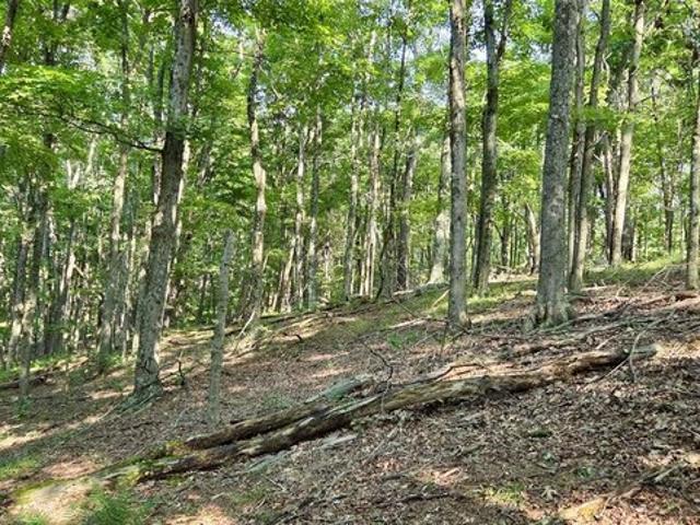 Land for sale in Mile Run, Lower Augusta Township