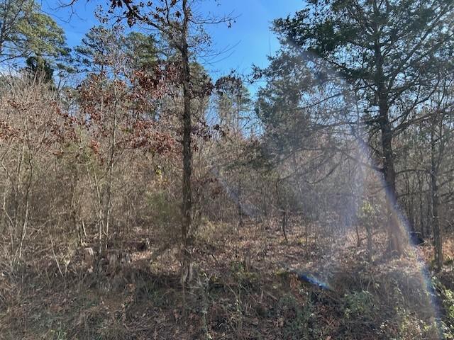 Land for sale in Ark