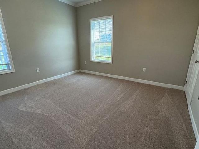 Apartment for rent in Bowling Green, Kentucky