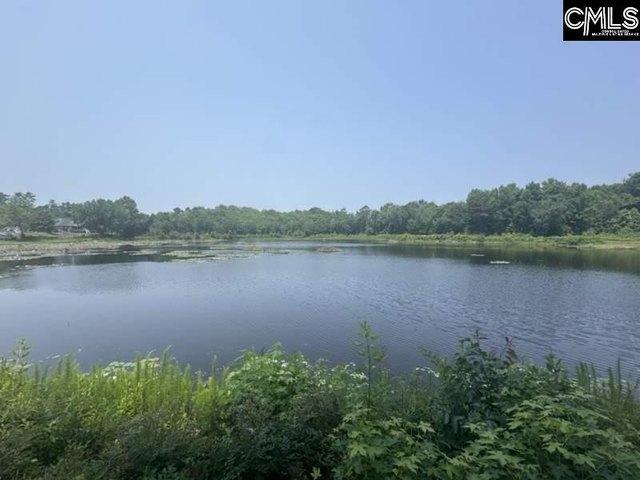 Land for sale in West Columbia, South Carolina